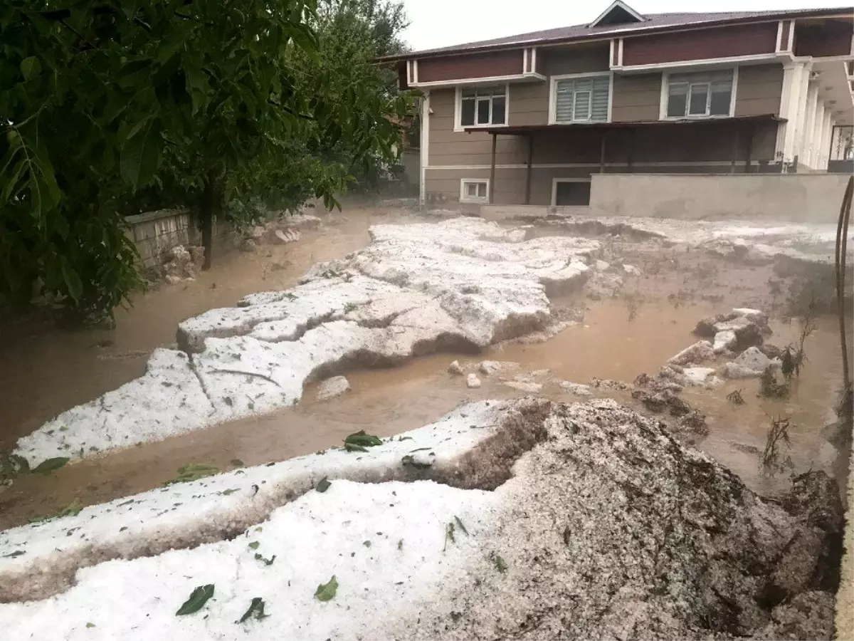 Tokat�ta ekili alanları dolu vurdu Haberler