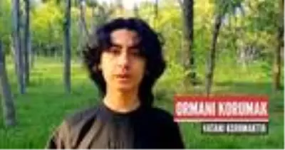 Ünlü isimler, orman yangınlarına dikkat çekti Ünlü isimler, orman yangınlarına dikkat çekti
