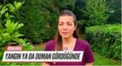 Ünlü isimler, orman yangınlarına dikkat çekti Ünlü isimler, orman yangınlarına dikkat çekti