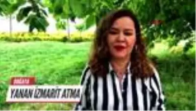 Ünlü isimler, orman yangınlarına dikkat çekti