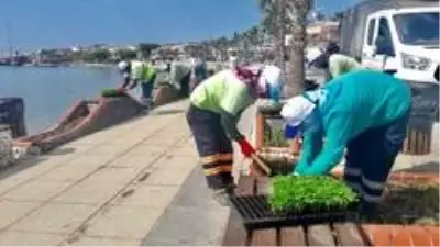 Son dakika haber! Didim Belediyesi, kurduğu sera ile üretime katkı sunuyor Son dakika haber! Didim Belediyesi, kurduğu sera ile üretime katkı sunuyor
