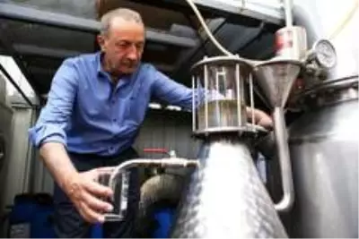 Son dakika haber! Didim Belediyesi, kurduğu sera ile üretime katkı sunuyor Son dakika haber! Didim Belediyesi, kurduğu sera ile üretime katkı sunuyor