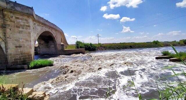 Ergene Nehri'nde aylar sonra yine ürküten görüntü! Normalleşme doğaya yaramadı