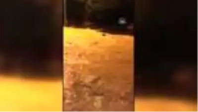Son dakika haberi: Kozaklı'da yağmur sele neden oldu Son dakika haberi: Kozaklı'da yağmur sele neden oldu