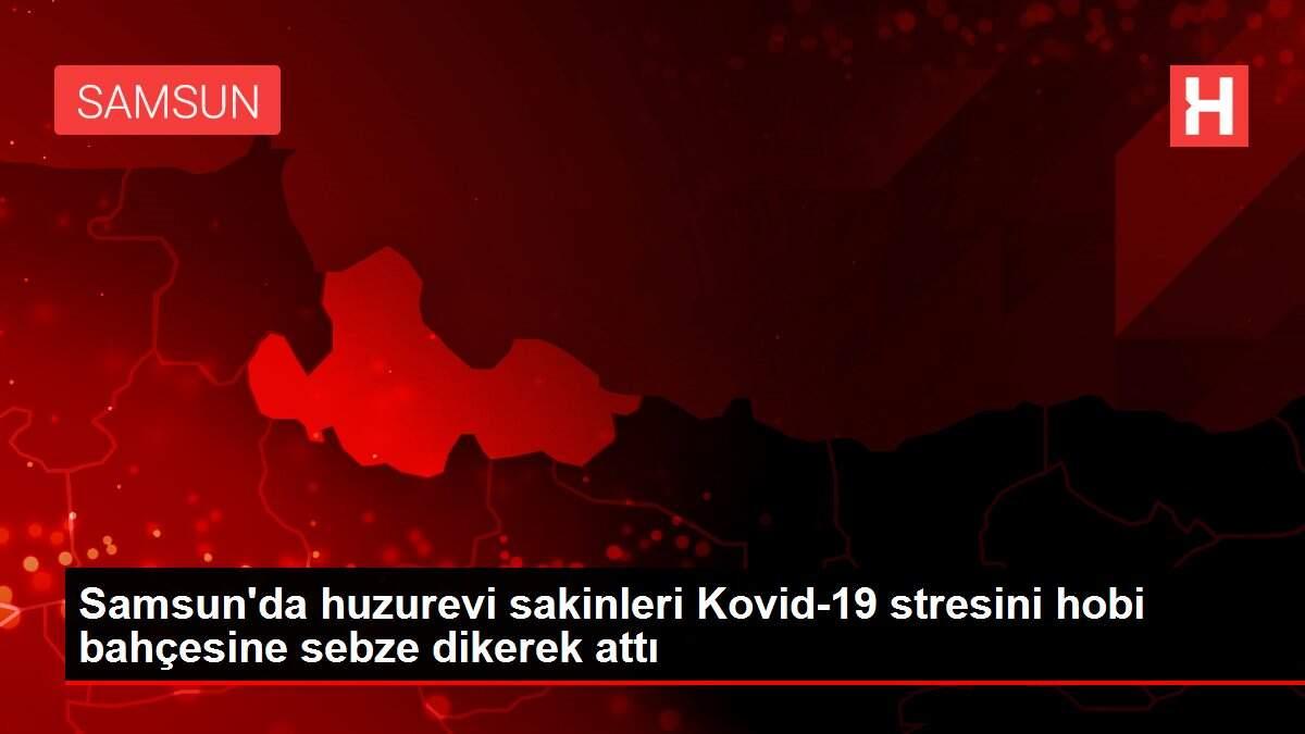 Son dakika haberleri | Samsun'da huzurevi sakinleri Kovid-19 stresini hobi bahçesine sebze dikerek attı Son dakika haberleri | Samsun'da huzurevi sakinleri Kovid-19 stresini hobi bahçesine sebze dikerek attı
