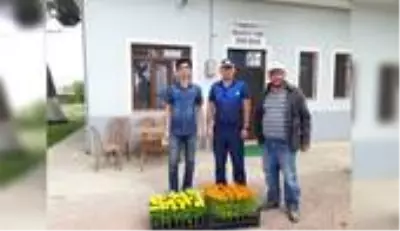 Teknolojik seralarda üretilen çiçekler çevre ilçeleri süsleyecek Teknolojik seralarda üretilen çiçekler çevre ilçeleri süsleyecek