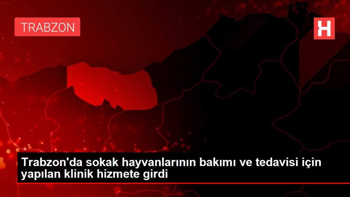 Trabzon'da sokak hayvanlarının bakımı ve tedavisi için yapılan klinik hizmete girdi Trabzon'da sokak hayvanlarının bakımı ve tedavisi için yapılan klinik hizmete girdi