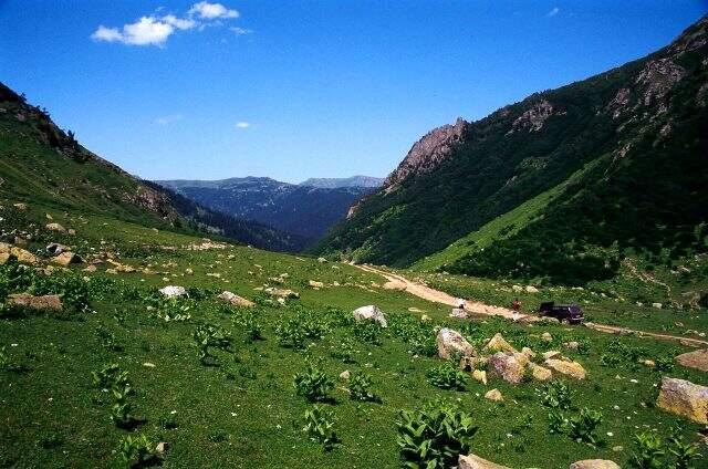 Artvin nerededir? Artvin'de gezilecek yerler nereler? Artvin'in nesi meşhur? Artvin nerededir? Artvin'de gezilecek yerler nereler? Artvin'in nesi meşhur?