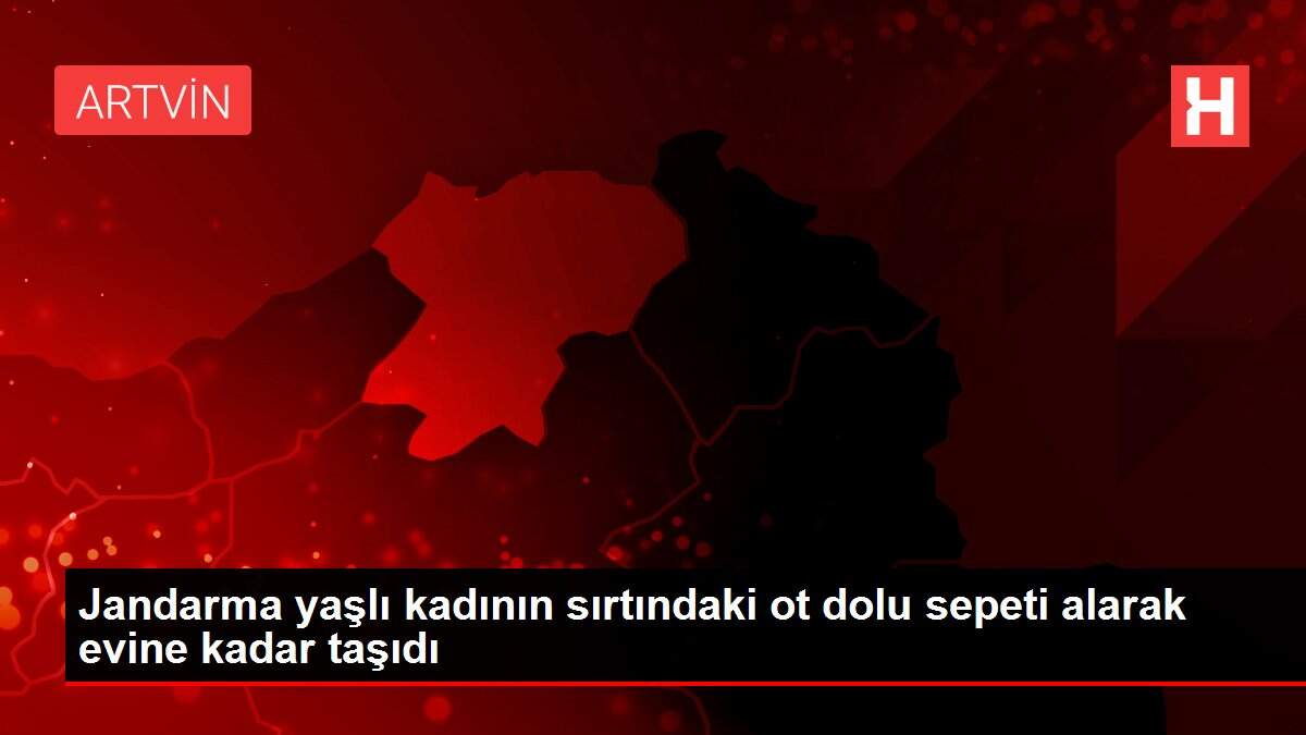 Jandarma yaşlı kadının sırtındaki ot dolu sepeti alarak evine kadar taşıdı