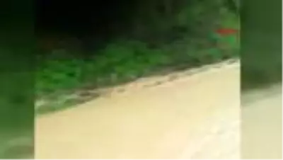 KARABÜK Yenice ilçesinde yağmur etkili oldu KARABÜK Yenice ilçesinde yağmur etkili oldu
