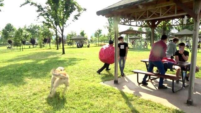 Koronavirüs kılığına giren tiyatrocuyu köpek kovaladı
