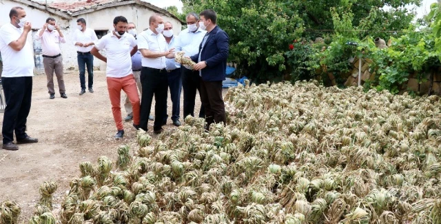 Aksaray'da üretilen sarımsaklar Rusya'da korona tedavisinde ve ilacında kullanılıyor