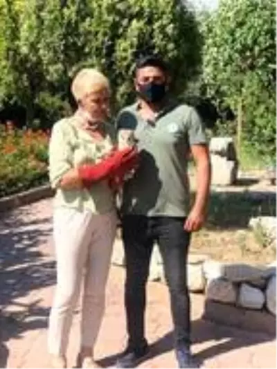 Yuvadan düşen yavru baykuş Doğa Koruma ekiplerine teslim edildi Yuvadan düşen yavru baykuş Doğa Koruma ekiplerine teslim edildi
