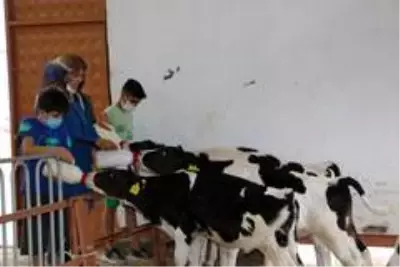 Son dakika haberleri: 3 çocuk annesinin bahçesi bile yoktu, şimdi devlet desteği ile çiftliği var Son dakika haberleri: 3 çocuk annesinin bahçesi bile yoktu, şimdi devlet desteği ile çiftliği var