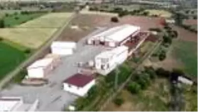3 çocuk annesinin bahçesi bile yoktu, şimdi devlet desteği ile çiftliği var 3 çocuk annesinin bahçesi bile yoktu, şimdi devlet desteği ile çiftliği var