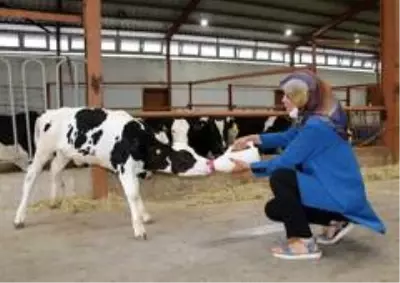 Son dakika haberleri: 3 çocuk annesinin bahçesi bile yoktu, şimdi devlet desteği ile çiftliği var Son dakika haberleri: 3 çocuk annesinin bahçesi bile yoktu, şimdi devlet desteği ile çiftliği var