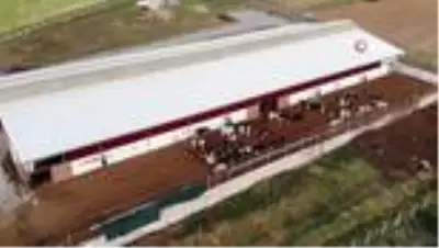 3 çocuk annesinin bahçesi bile yoktu, şimdi devlet desteği ile çiftliği var 3 çocuk annesinin bahçesi bile yoktu, şimdi devlet desteği ile çiftliği var