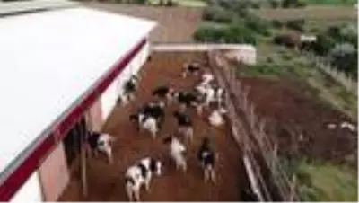3 çocuk annesinin bahçesi bile yoktu, şimdi devlet desteği ile çiftliği var 3 çocuk annesinin bahçesi bile yoktu, şimdi devlet desteği ile çiftliği var