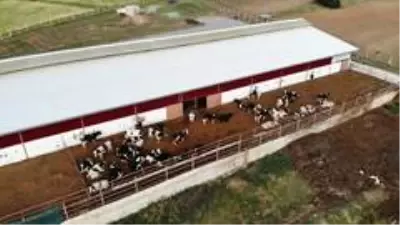 Son dakika haberleri: 3 çocuk annesinin bahçesi bile yoktu, şimdi devlet desteği ile çiftliği var Son dakika haberleri: 3 çocuk annesinin bahçesi bile yoktu, şimdi devlet desteği ile çiftliği var