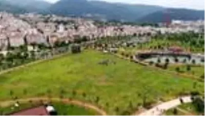 Bursa'da Babalar Günü'nde gökyüzü uçurtmalarla boyandı Bursa'da Babalar Günü'nde gökyüzü uçurtmalarla boyandı