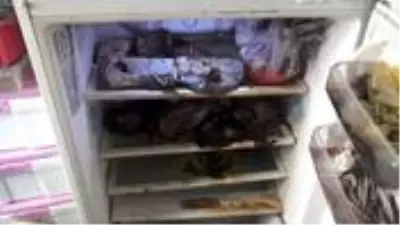 Evde cansız beden var zannedip şikayette bulundular! Zabıta ekipleri gelince gerçek ortaya çıktı Evde cansız beden var zannedip şikayette bulundular! Zabıta ekipleri gelince gerçek ortaya çıktı
