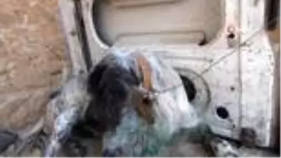 Kahraman aile hekiminden yaralı köpeğe müdahale Kahraman aile hekiminden yaralı köpeğe müdahale