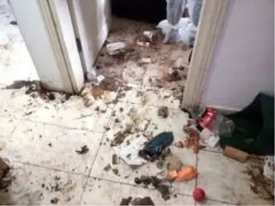 Komşuları şikayet etti, evden 3 kamyon çöp çıktı Komşuları şikayet etti, evden 3 kamyon çöp çıktı