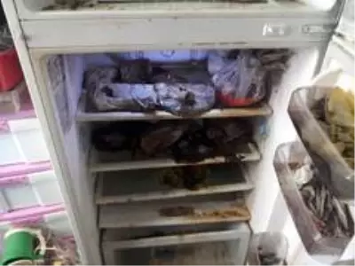 Evde cansız beden var zannedip şikayette bulundular! Zabıta ekipleri gelince gerçek ortaya çıktı Evde cansız beden var zannedip şikayette bulundular! Zabıta ekipleri gelince gerçek ortaya çıktı