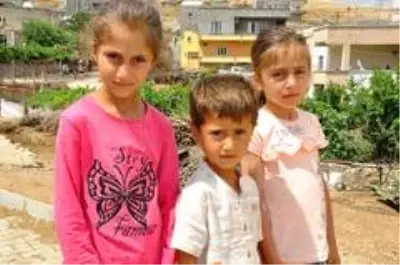 Terör örgütü PKK'nın hain tuzağı 9 çocuğu babasız bıraktı Terör örgütü PKK'nın hain tuzağı 9 çocuğu babasız bıraktı