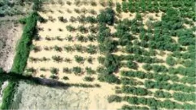 Son Dakika: Afet bölgesinde binlerce dönüm tarım arazisi sular altında... Son Dakika: Afet bölgesinde binlerce dönüm tarım arazisi sular altında...