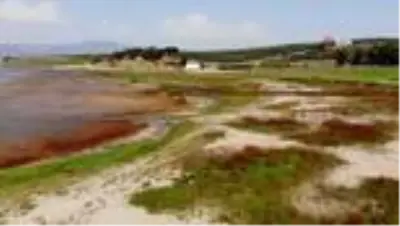 Bir zamanlar 'kuş cenneti'ydi, şimdi kuraklık tehlikesi ile karşı karşıya