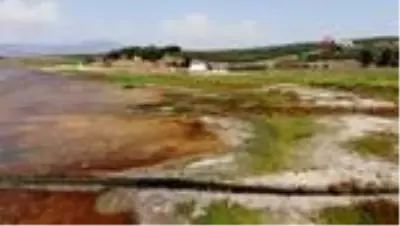 Bir zamanlar 'kuş cenneti'ydi, şimdi kuraklık tehlikesi ile karşı karşıya