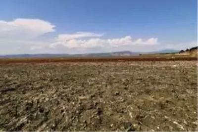 Bir zamanlar 'kuş cennetiydi, şimdi kuraklık tehlikesi ile karşı karşıya Bir zamanlar 'kuş cennetiydi, şimdi kuraklık tehlikesi ile karşı karşıya