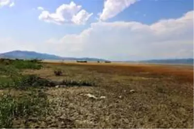 Bir zamanlar 'kuş cennetiydi, şimdi kuraklık tehlikesi ile karşı karşıya Bir zamanlar 'kuş cennetiydi, şimdi kuraklık tehlikesi ile karşı karşıya