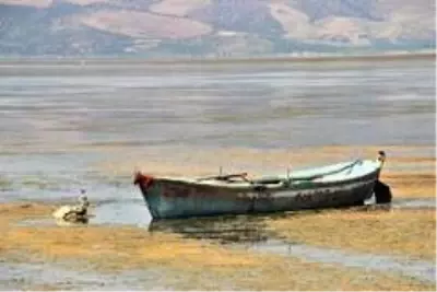 Bir zamanlar 'kuş cennetiydi, şimdi kuraklık tehlikesi ile karşı karşıya Bir zamanlar 'kuş cennetiydi, şimdi kuraklık tehlikesi ile karşı karşıya
