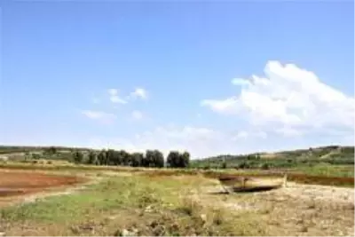 Bir zamanlar 'kuş cennetiydi, şimdi kuraklık tehlikesi ile karşı karşıya Bir zamanlar 'kuş cennetiydi, şimdi kuraklık tehlikesi ile karşı karşıya