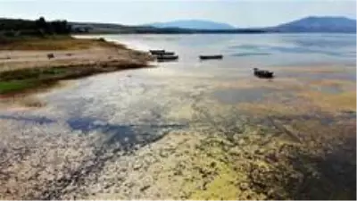 Bir zamanlar 'kuş cennetiydi, şimdi kuraklık tehlikesi ile karşı karşıya Bir zamanlar 'kuş cennetiydi, şimdi kuraklık tehlikesi ile karşı karşıya