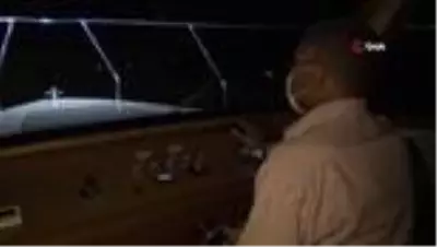 Son dakika haberleri | Çizgili sırtlanı kurtarmak için gece yarısı seferber oldular Son dakika haberleri | Çizgili sırtlanı kurtarmak için gece yarısı seferber oldular