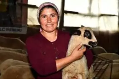Son dakika haberleri: Güzelbahçeli kadın üreticinin başarı öyküsü Son dakika haberleri: Güzelbahçeli kadın üreticinin başarı öyküsü