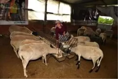 Son dakika haberleri: Güzelbahçeli kadın üreticinin başarı öyküsü Son dakika haberleri: Güzelbahçeli kadın üreticinin başarı öyküsü
