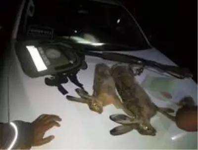 Karacasu'da gece avına 8493 lira ceza kesildi Karacasu'da gece avına 8493 lira ceza kesildi