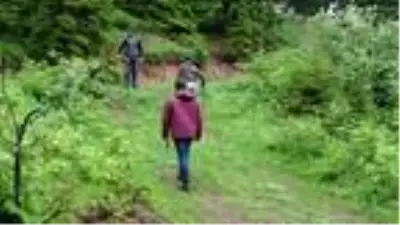Karadeniz'de popülasyonu artan ayılar korkutuyor