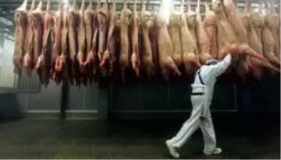Koronavirüs neden mezbahalardan kolayca yayılıyor? Uzmanlar sebeplerini tek tek anlattı Koronavirüs neden mezbahalardan kolayca yayılıyor? Uzmanlar sebeplerini tek tek anlattı