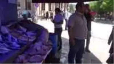 Yayın balığının kilosu 40 lira