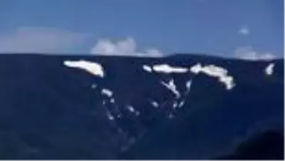 Ağrı’nın mor çiçekleri dağlarda görsel şölen sunuyor