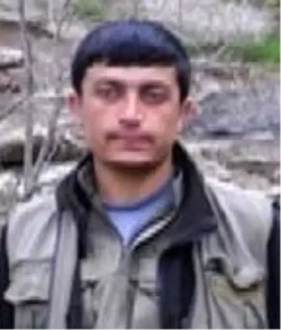 Bitlis'te etkisiz hale getirilen 2 terörist gri listeden çıktı Bitlis'te etkisiz hale getirilen 2 terörist gri listeden çıktı