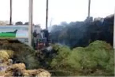Hayvan çiftliği deposundaki yangında 5 milyon liralık zarar Hayvan çiftliği deposundaki yangında 5 milyon liralık zarar
