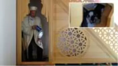 Namaz kıldığı sırada bir kedi gören imam, minberin altına bakınca olayı çözdü Namaz kıldığı sırada bir kedi gören imam, minberin altına bakınca olayı çözdü