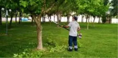 Yunusemre'de parkların bakımı yapılıyor Yunusemre'de parkların bakımı yapılıyor