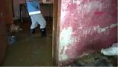 1 - Evini su basan yaşlı kadın 21 kedisi için ağladı; evden çıkmak istemedi 1 - Evini su basan yaşlı kadın 21 kedisi için ağladı; evden çıkmak istemedi